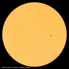 SDO/HMI Continuum Image of the Sun